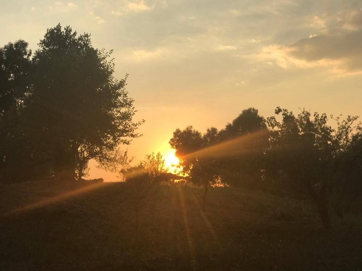 La Villetta Dei Sogni Nel Parco Ρώμη Εξωτερικό φωτογραφία